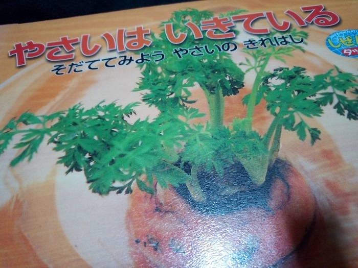 やさいはいきている - そだててみようやさいのきれはし