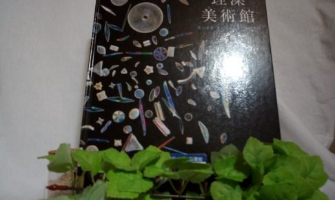 珪藻美術館 ちいさな・ちいさな・ガラスの世界（たくさんのふしぎ傑作集）