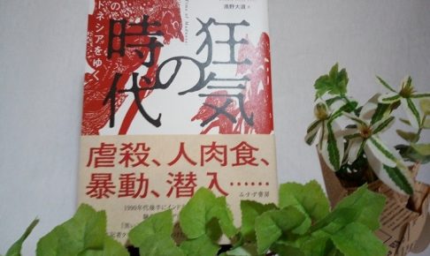 狂気の時代――魔術・暴力・混沌のインドネシアをゆく