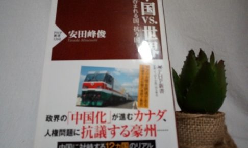 中国vs.世界 呑まれる国、抗う国（安田峰俊）